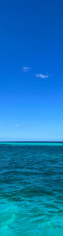 beach-vertical-100.jpg